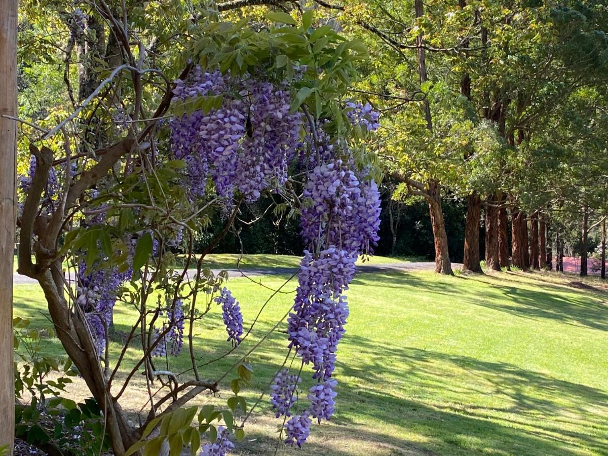 לינה וארוחת בוקר Copeland House מראה חיצוני תמונה